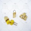 30型號(hào)卡封鎖,40型號(hào)卡封鎖,鈦合金卡封鎖,純銅卡封鎖